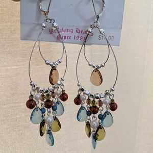 New, never worn earrings